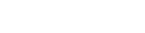 light logo